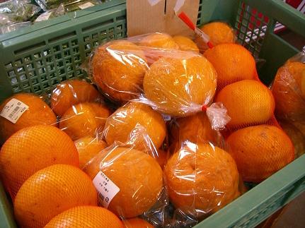 img20080429_4.jpg