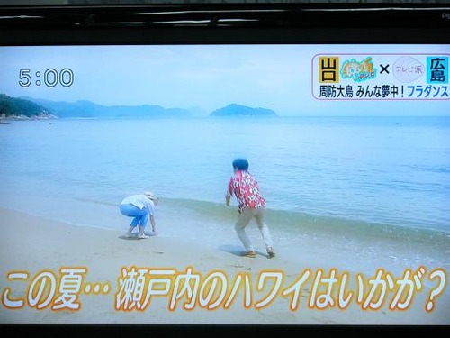 テレビを撮影 038