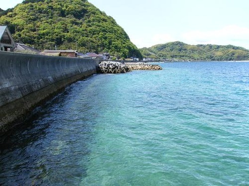 平成25年4月21日撮影 046