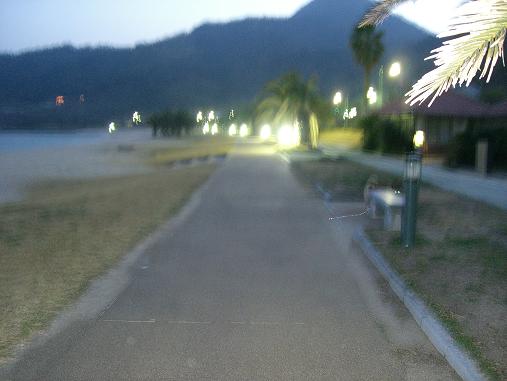 img20070216_5.jpg