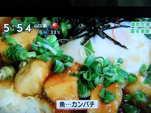 テレビを撮影 059