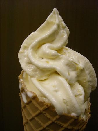img20090528_8.jpg