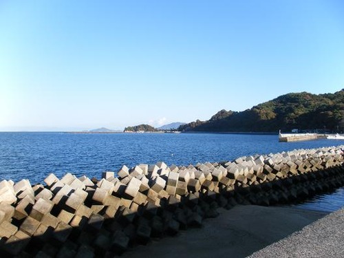 １１月２７日周防大島 003