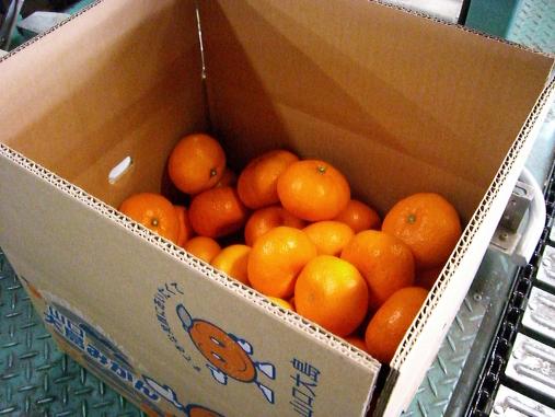 img20061214_3.jpg