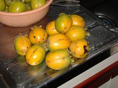 img20050927.jpg