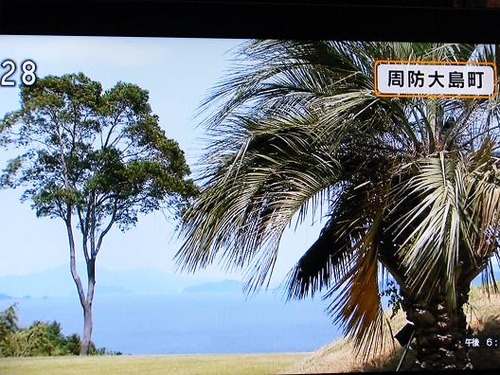 テレビ平成２５年７月１9日撮影 005