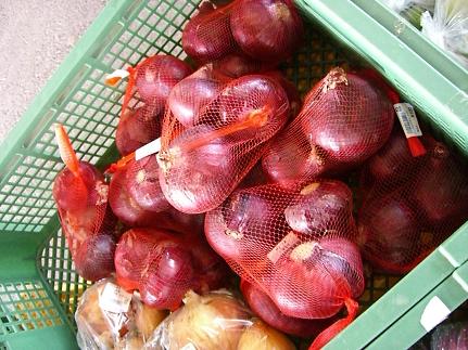 img20080610_4.jpg
