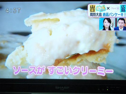 テレビを撮影 028