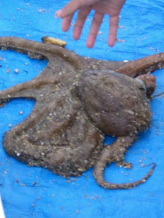 img20080609_6.jpg