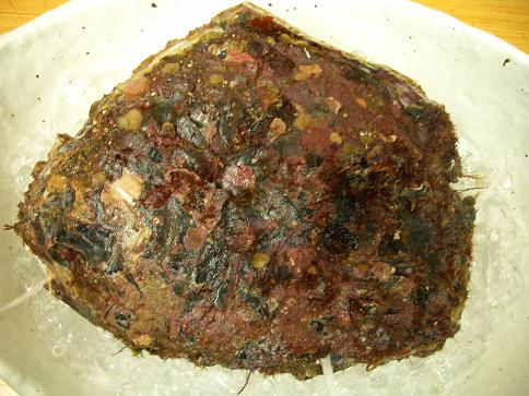 img20070727_7.jpg
