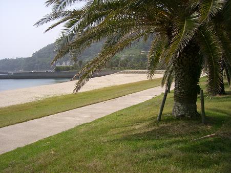 img20080527_3.jpg