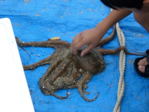img20080609_7.jpg