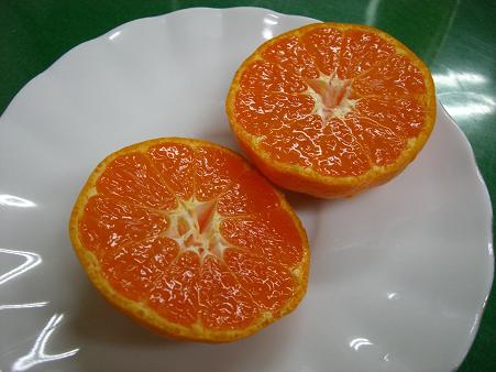 img20080130_1.jpg