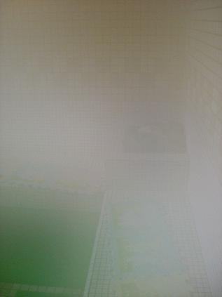 img20070318_5.jpg