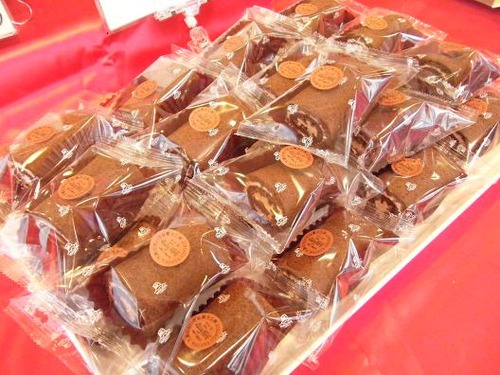 撮影平成２５年１月28日 010