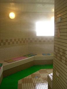 img20070211_5.jpg