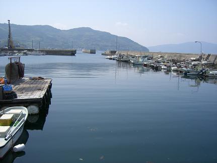 img20080612_3.jpg