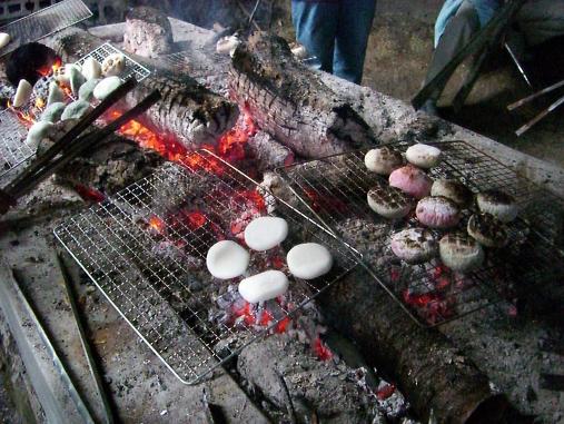 img20091229.jpg
