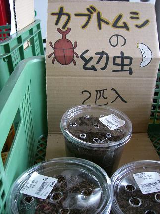 img20080610.jpg