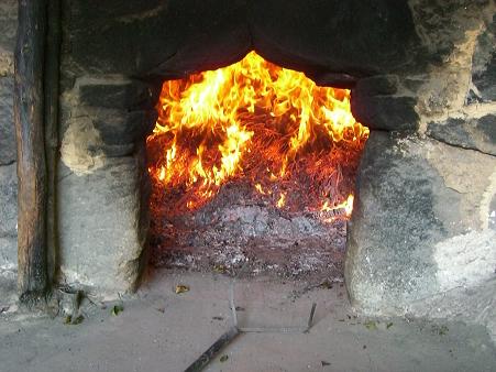 img20080425.jpg