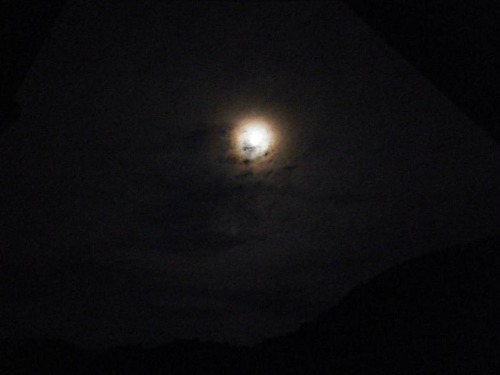 月 平成25年6月22日
