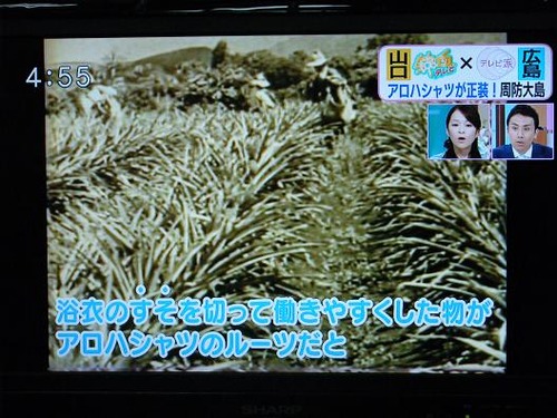 テレビを撮影 014