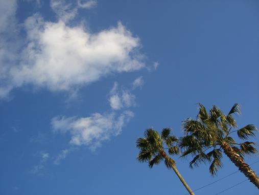 img20070404_3.jpg