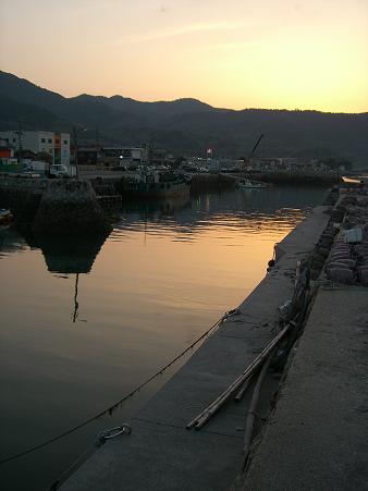 img20080329_1.jpg