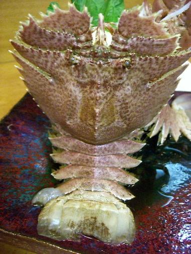 img20080812_6.jpg