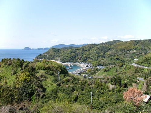 平成25年4月21日撮影 035