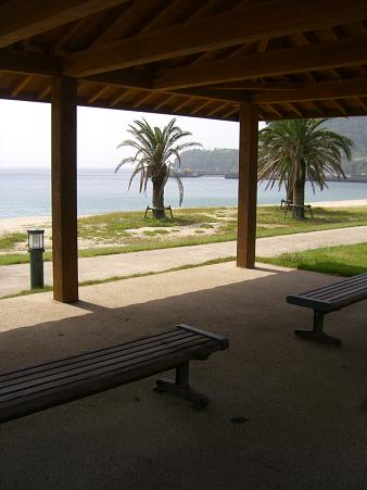img20080527_1.jpg