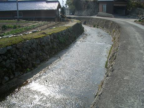 img20080321_2.jpg