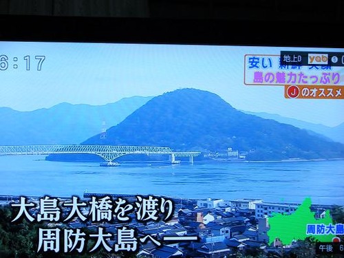 平成２３年１２月5日撮影 050