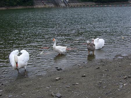 img20070925_2.jpg