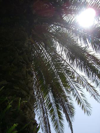 img20080528_1.jpg