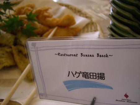 img20080725_4.jpg