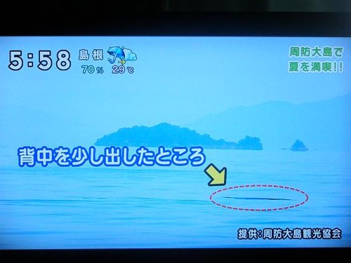 テレビを撮影 084