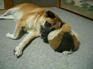img20060328_1.jpg