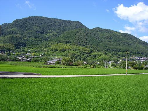 img20060731_8.jpg
