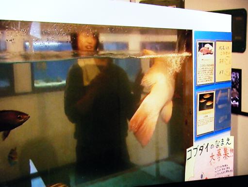 img20091126_3.jpg