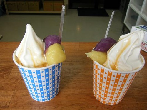 平成２３年10月2日撮影 066