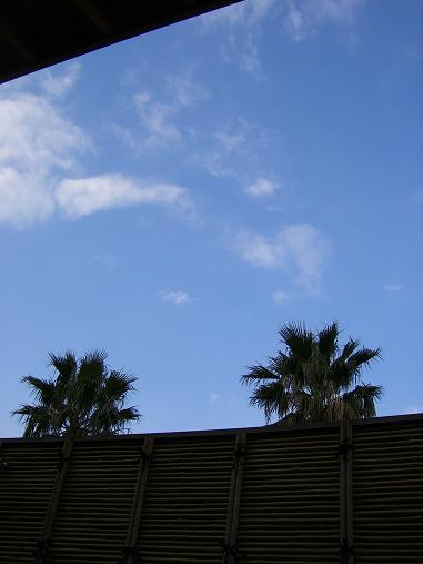 img20070318.jpg