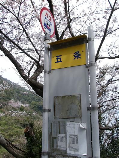 平成25年3月29日撮影 044