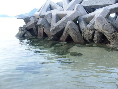 平成２５年７月30日ＰＭ７：０５撮影。 001