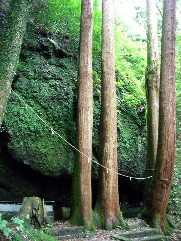 img20090530_9.jpg