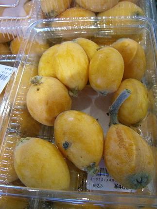 img20080610_1.jpg