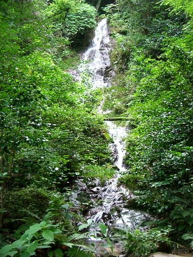 img20080701_2.jpg