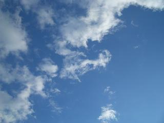img20060128_2.jpg