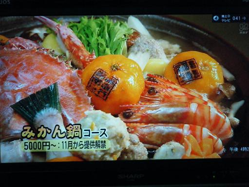 img20091120_1.jpg