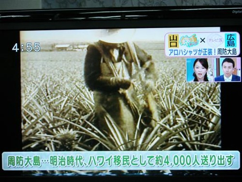 テレビを撮影 010